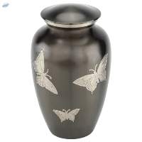 Black Butterfly
