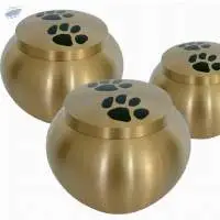 Paw Design Urns