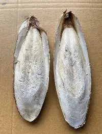 Dried Cuttlebone (Cuttlefish Bone)
