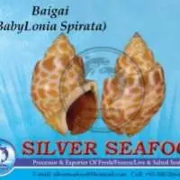 Frozen Seafood