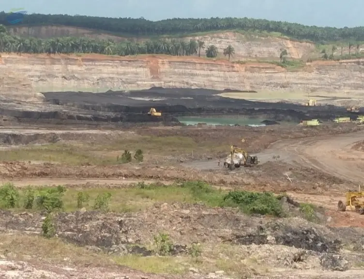 Indonesian Coal