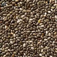 Chia Seeds