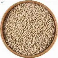 Quinoa Seeds