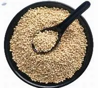 White Sorghum