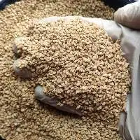 Natural Sesame Seeds