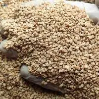 Double Skin Red Brown Sesame Seeds