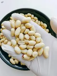 Bold Peanuts