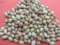 Java Peanuts