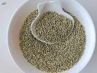 Yellow Green Millet