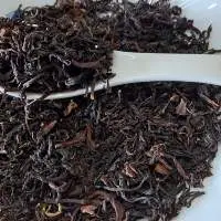 Oolong Tea