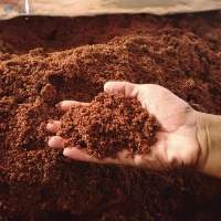 Cow Dung Powder