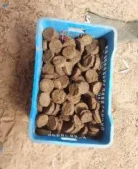 Cow Dung Cake