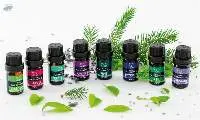 Bulgarian Essential Oils Set