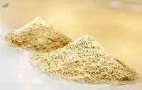 Soya Lecithin Powder
