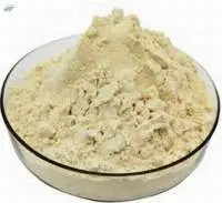 Soya Protein Isolate