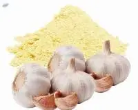 Garlic Extract Powder