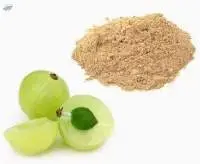 Amla Dry Herbal Extract