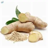Ginger Dry Extract (Zingiber Officinale)