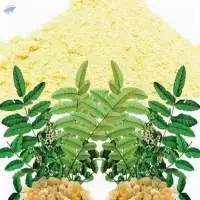 Boswellia Extract