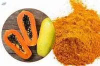 Papaya Powder Extract
