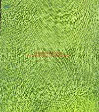 Mesh Net Bag