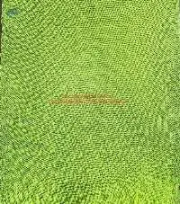Mesh Net Bag