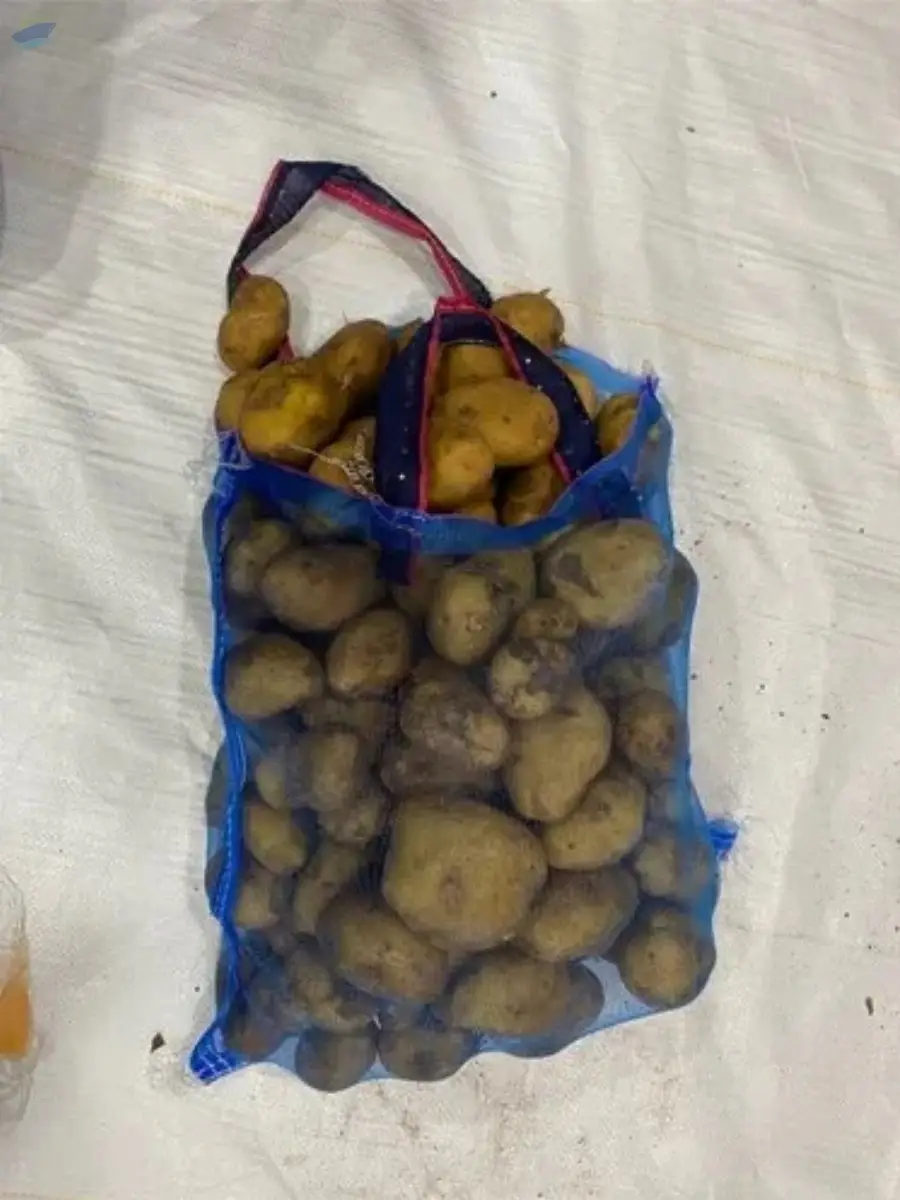 Vegetable Packing Net Bag