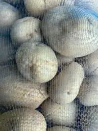 Potatoes Packing Net