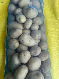 Mesh Bag Packing For All Vegetable