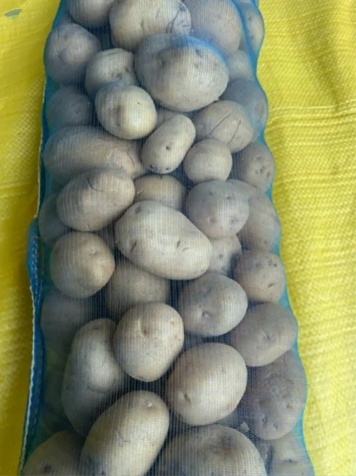 Potato Packging Bags For Exports