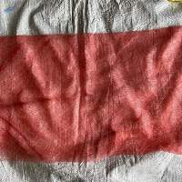 Mesh Fruit Bag