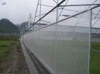 Agriculture Solution Insect Net