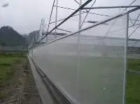 Agriculture Solution Insect Net