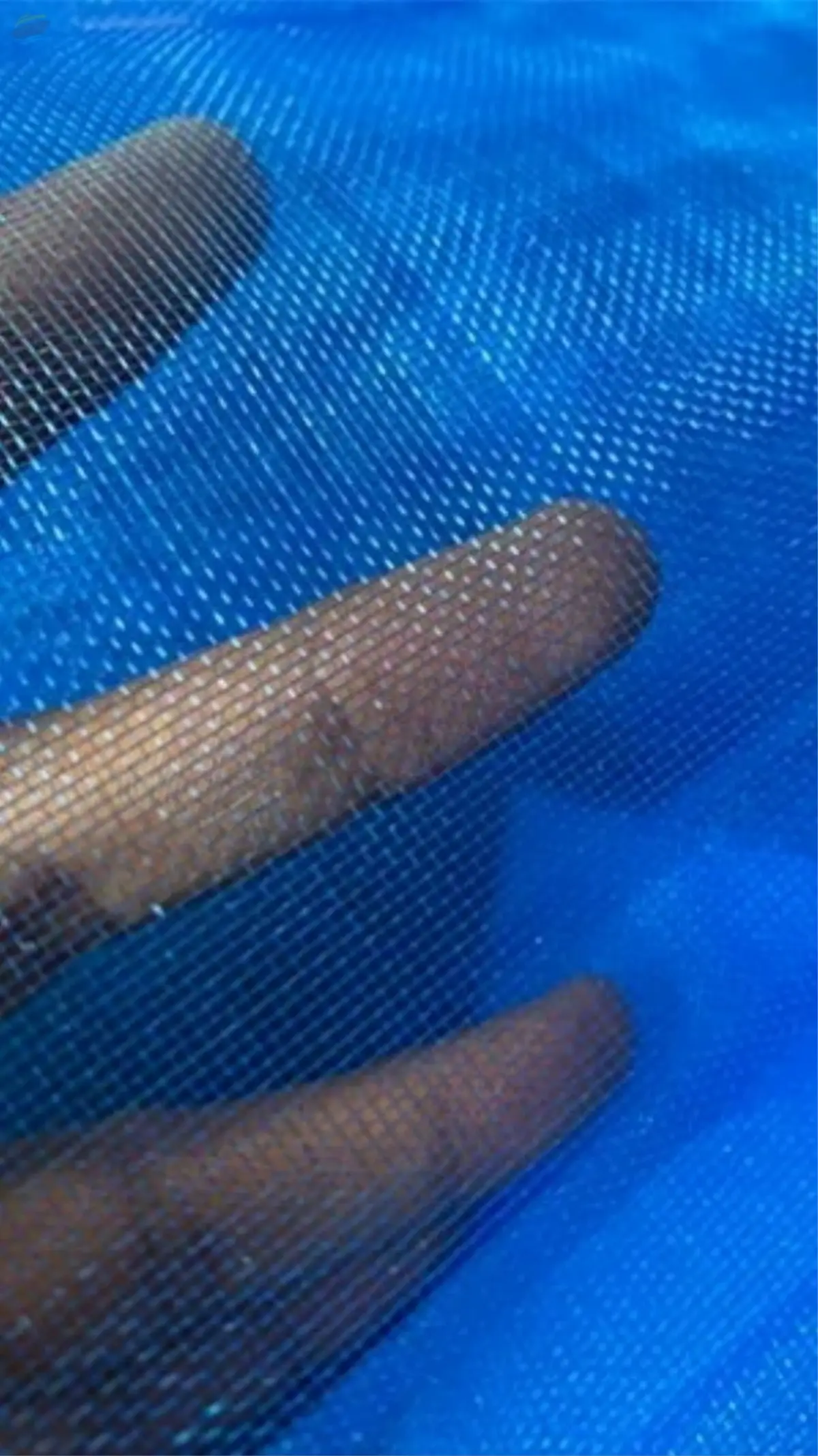 Mcf Fishing Net Fabrics by Divya Mono Filament Yarn. Supplier from