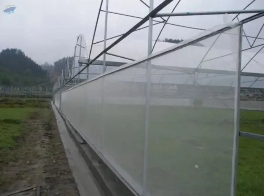 Insect Net