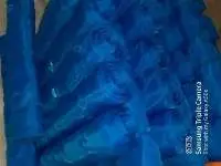 Mosquitoes Net For Windows