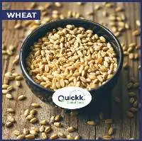 Wheat