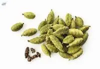 Cardamom