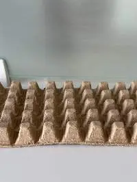 Paper Pulp Molded Products
