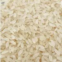Short Grain Rice Manufacturers & Suppliers India