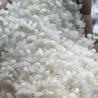 Short Grain Rice Suppliers, Manufacturers
