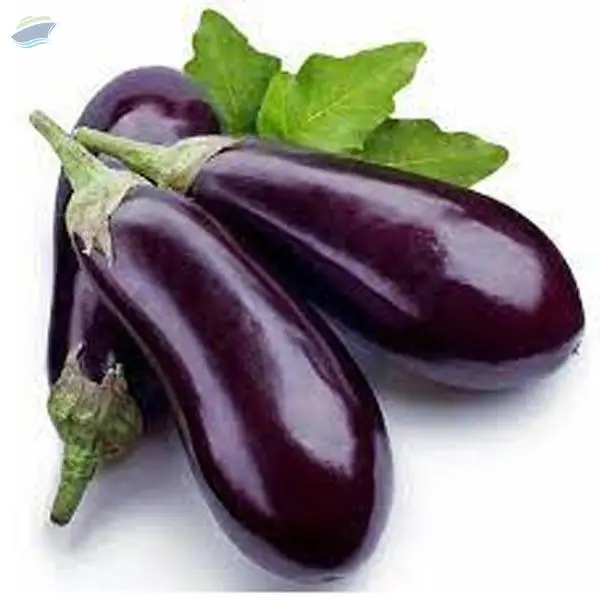 Brinjal