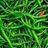 Green Chilli