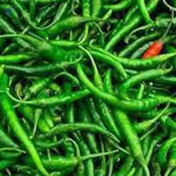 Green Chilli