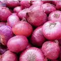 Onion