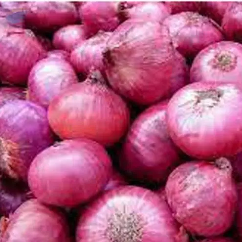 Onion