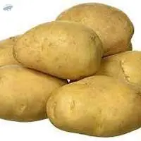 Potato