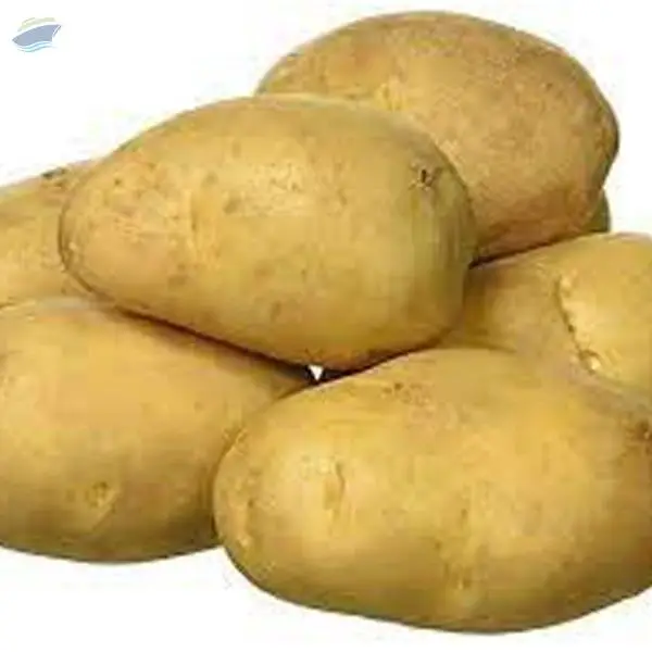 Potato