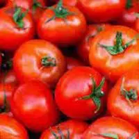 Tomato
