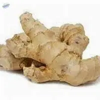 Ginger